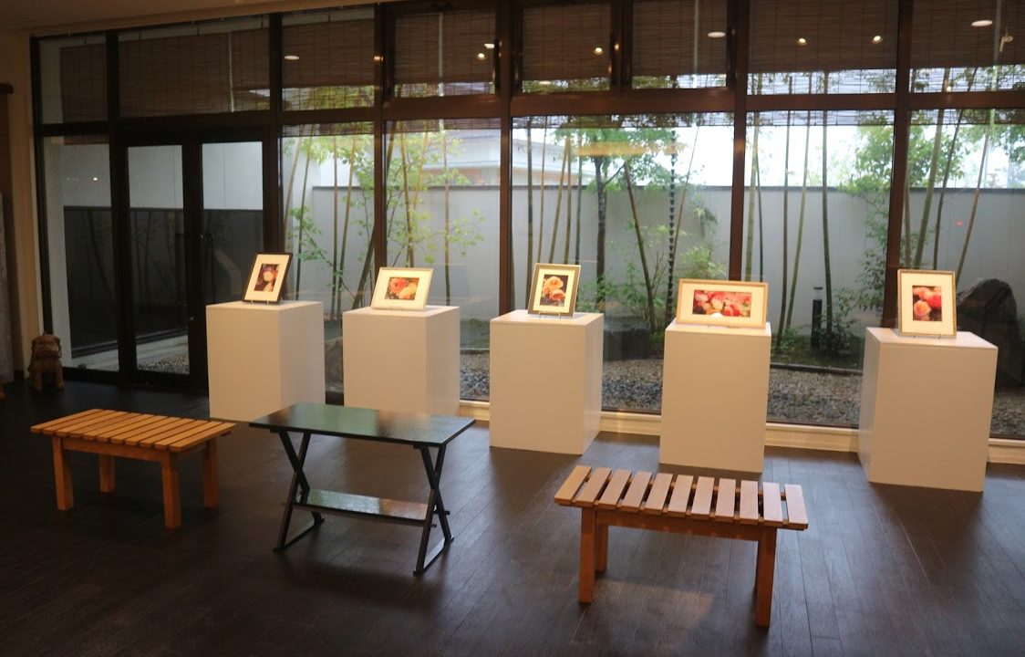【展示案内】加賀市動橋町　丸八製茶場さまにて展示させていただいています。